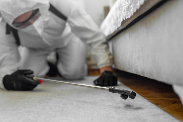 Professional Termite Control technician working in Avilla, IN